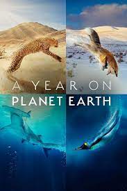     / A Year on Planet Earth (2022)